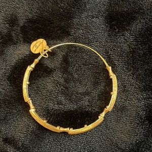Alex and Ani Bracelet